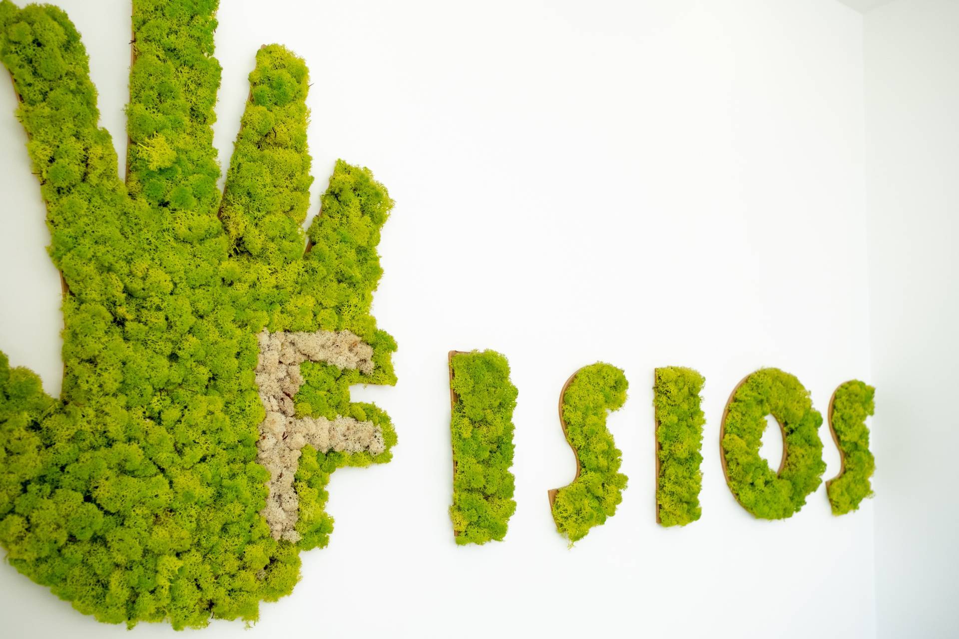 Logo Fiosios Muschio Ingresso Fisos